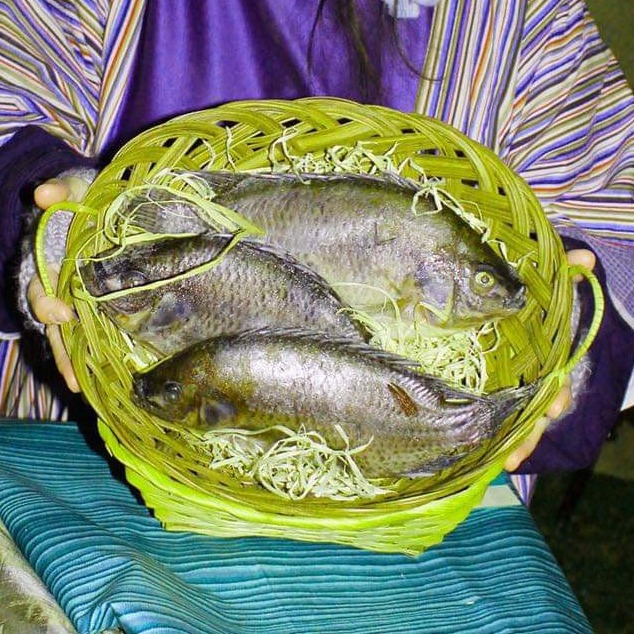 Fish In Basket